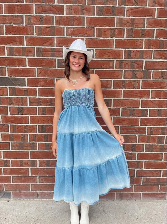 Maisly Jean Dress