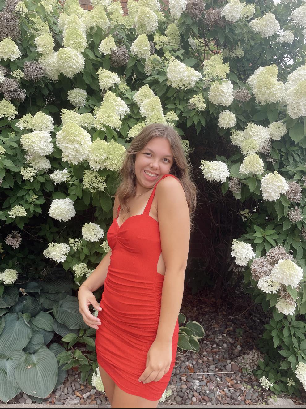 Seattle Mini Dress