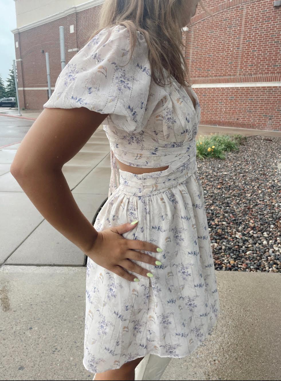 Mistry Mini Dress