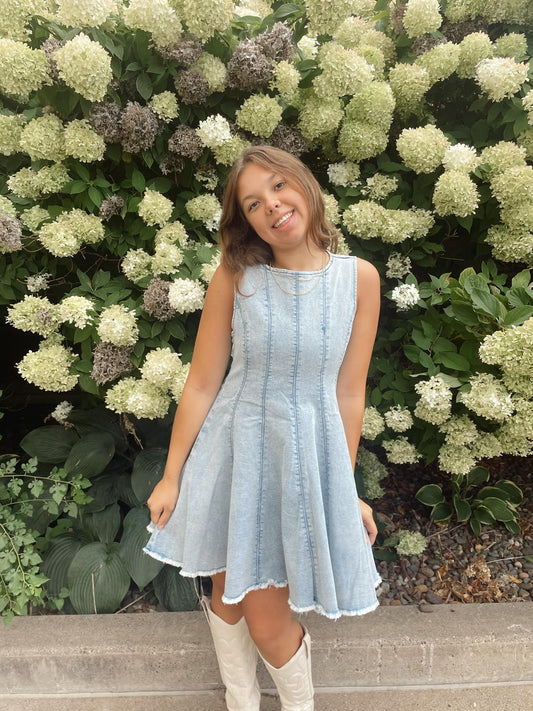 Lulu Denim Dress
