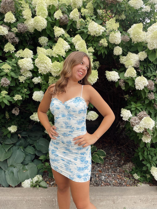 Bonacci Mini Dress