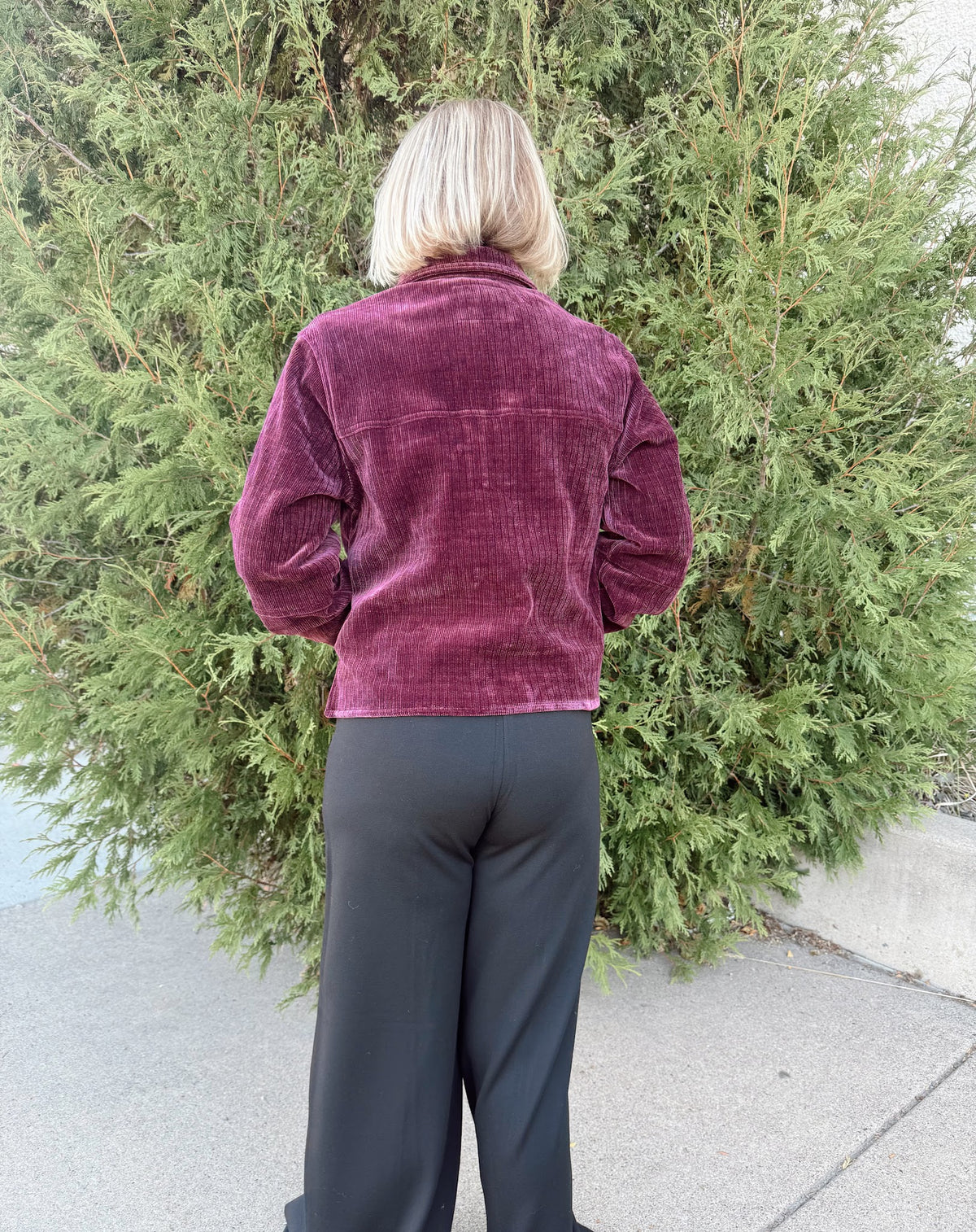 Gina Cropped Jacket