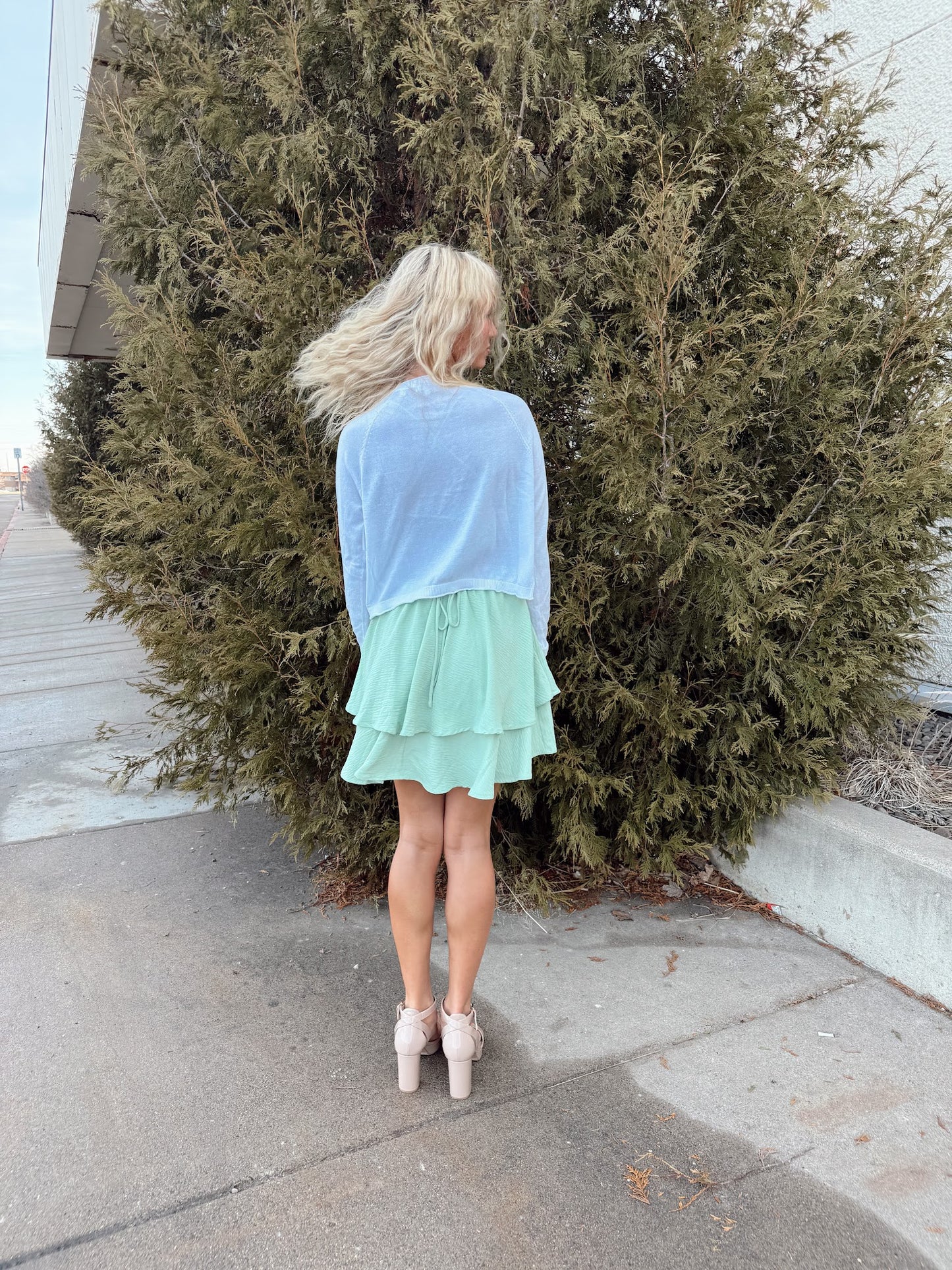 Thena Mini Dress