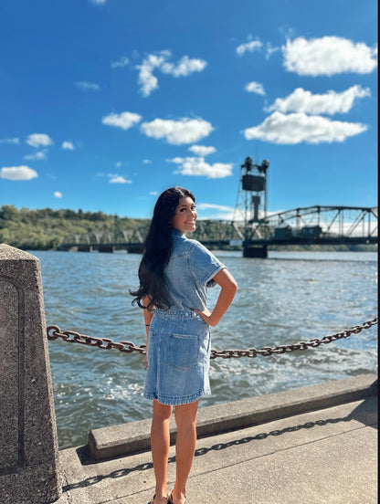 Topanga Denim Dress