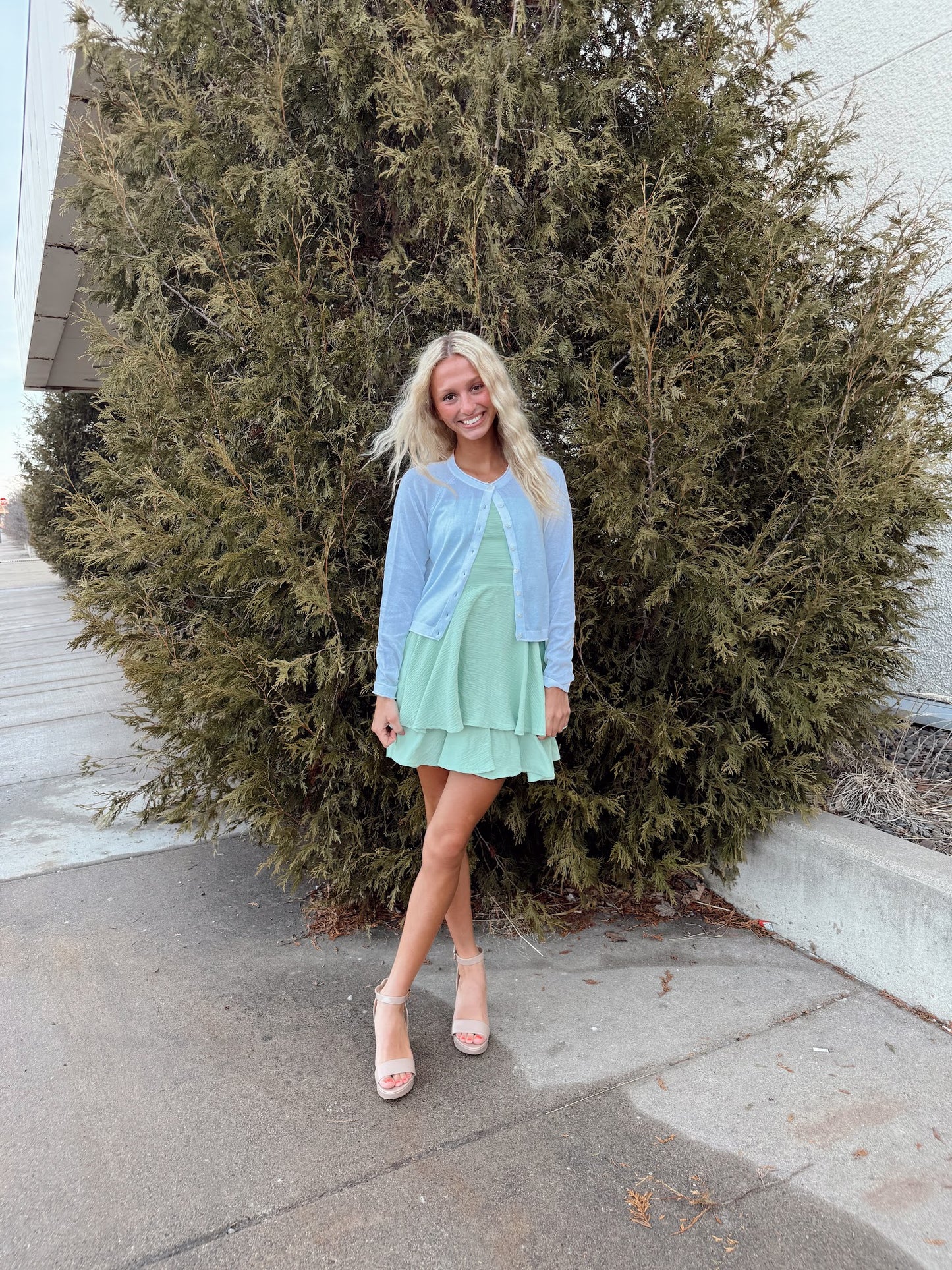Thena Mini Dress