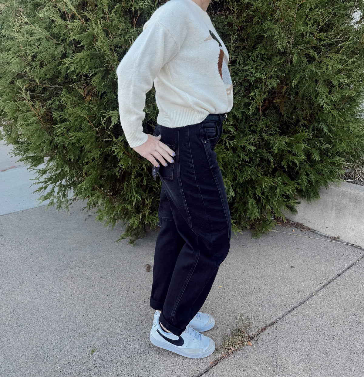 Tinks Barrel HR Jeans